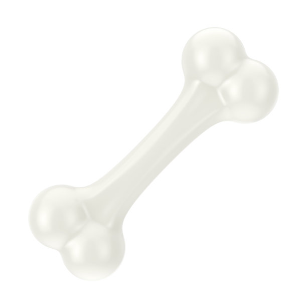 狗啃骨头。3d渲染图片下载