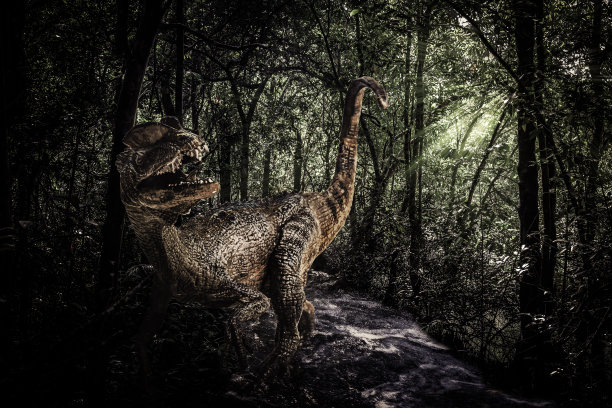 丛林中的Dilophosaurus恐龙。图片下载