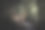 丛林中的Dilophosaurus恐龙。图片下载