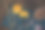 月饼在表图片下载