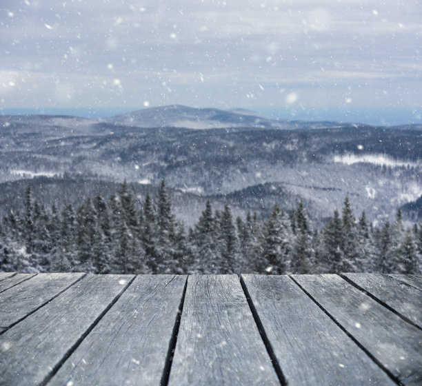 雪林从家庭院图片下载