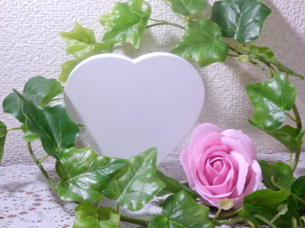 白心，玫瑰和常春藤图片下载