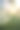 白花草地与剪影的阳光在傍晚。图片背景的风景，壁纸图片下载
