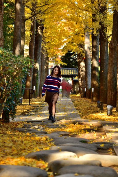 在东京金黄色银杏树下行走的年轻日本女人图片下载