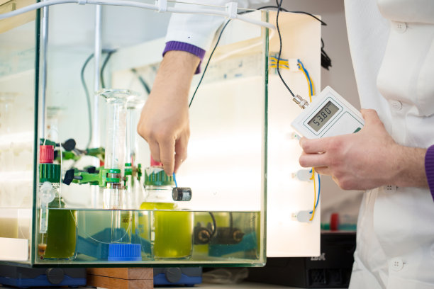科学家在实验室用绿藻进行科学实验，测量光发射功率图片下载