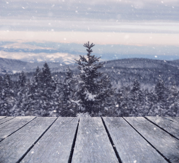 山上的早晨下雪了图片下载