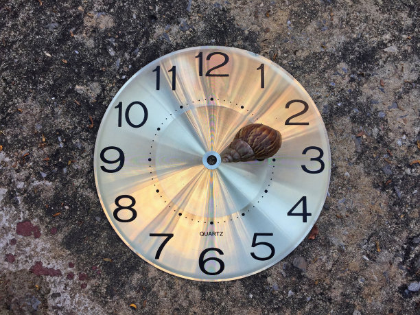 蜗牛在圆表盘上没有表针在地板上。慢慢的概念。图片下载