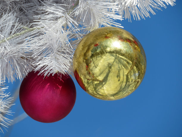 圣诞球和白色的冷杉树枝孤立在清澈的蓝天背景图片下载