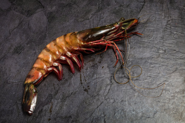 单只生大虾放在冰上，背景为黑色。图片下载