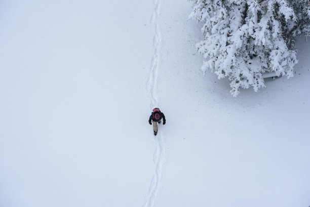 冬天走了图片下载