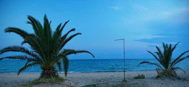 夏日海滩上棕榈树上的淋浴器图片下载