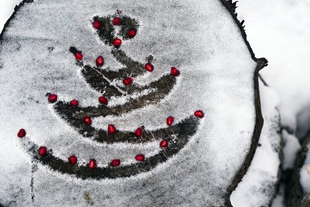 雪中的圣诞树图片下载