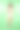 一个年轻女孩拿着一束甘菊的肖像。图片下载