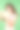 一个年轻女孩拿着一束甘菊的肖像。图片下载