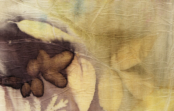 植物打印图片下载