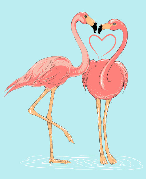 火烈鸟设计图片下载