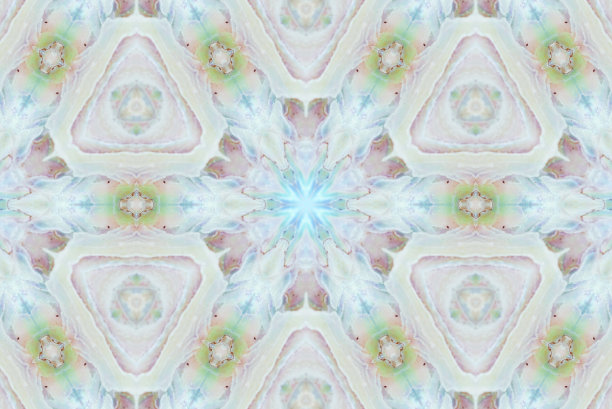 鲍鱼曼荼罗图片下载