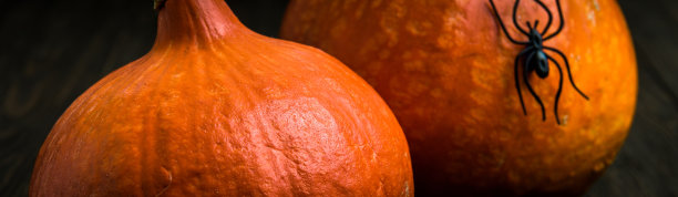 万圣节背景有南瓜和蜘蛛图片下载
