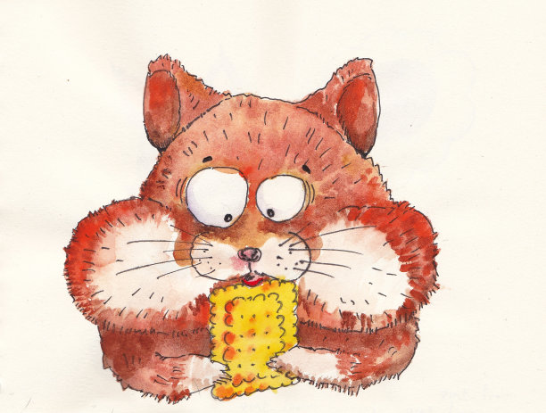 仓鼠和饼干图片下载