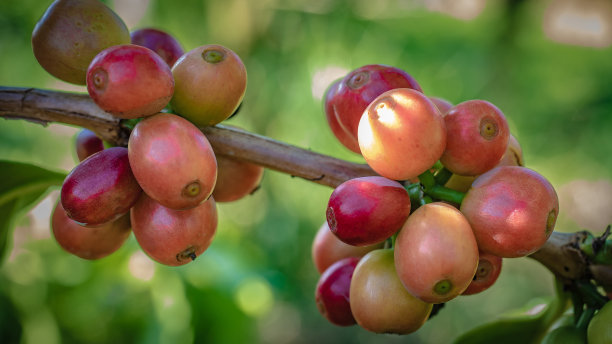 自然的照片图片下载