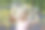 一个金发小女孩喜欢运动。操场上的孩子举起了哑铃。健康的生活方式。图片下载