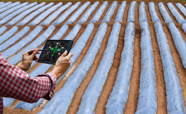 农民控制平板农业自动化技术未来的树木护理和种植图片下载