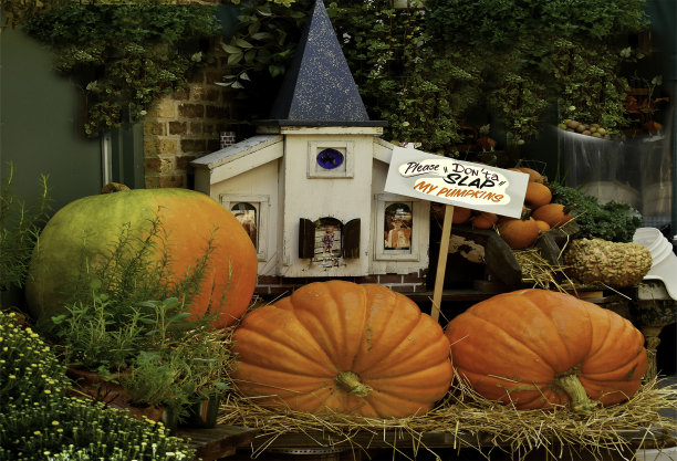 万圣节南瓜图片下载