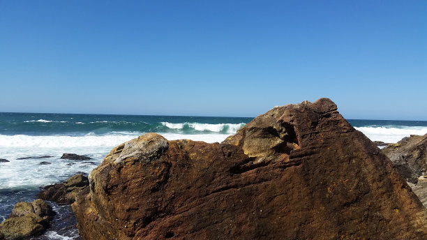 Bondai海滩上的岩石图片下载