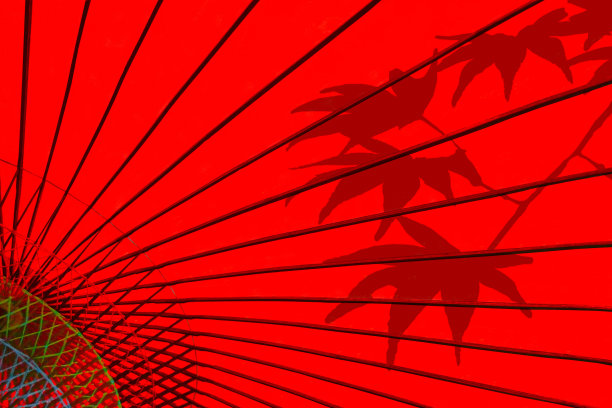 红色的伞和枫的剪影图片下载