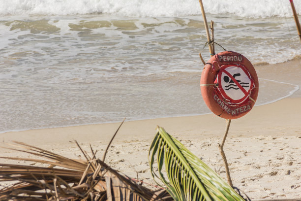 巴西海滩的细节图片下载