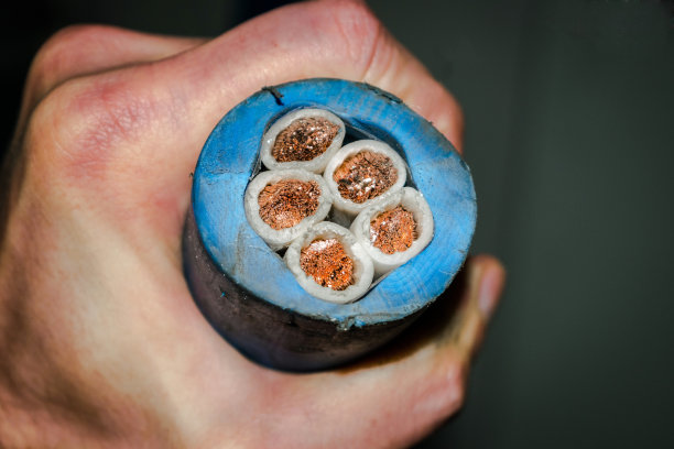 强力电缆的横截面在拳头里。手里拿着一根大的高压电缆。供电用电源线图片下载