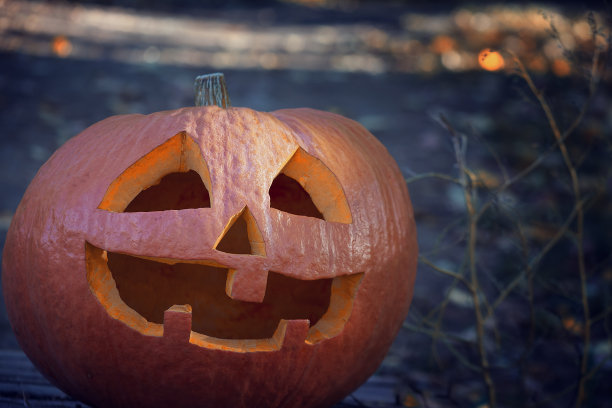 黄昏中一个笑脸大南瓜。万圣节标志的背景是一条森林小路。一张糟糕的假日照片。图片下载