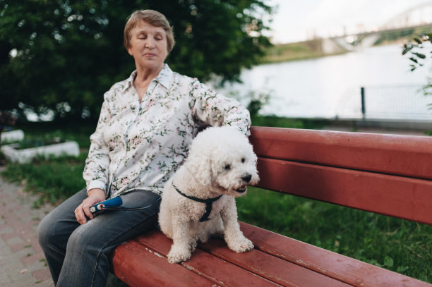 成熟的女人在公园遛狗图片下载