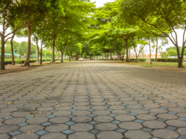 模糊的形象-走在城市的树下图片下载