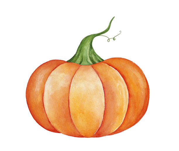 装饰风格化的大南瓜水彩画。季节性装饰;象征万圣节，丰收时节，繁荣昌盛。图片下载