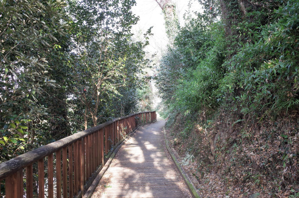 公园，河流和木桥，美丽的风景Kanra公园，群马县，日本图片下载