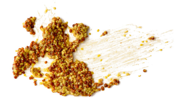 将芥末酱涂在孤立的白色背景上图片下载