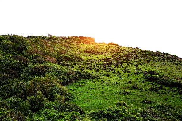 查波拉堡，果阿的风景图片下载