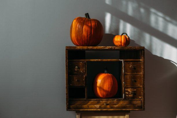 秋季装饰用白色复制空间。南瓜图片下载