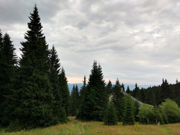 从山上看。图片下载