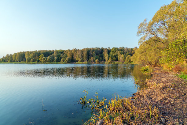 美丽的自然景观钓鱼湖在日落芦苇和树木图片下载
