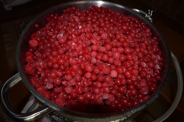 冻红醋栗图片下载