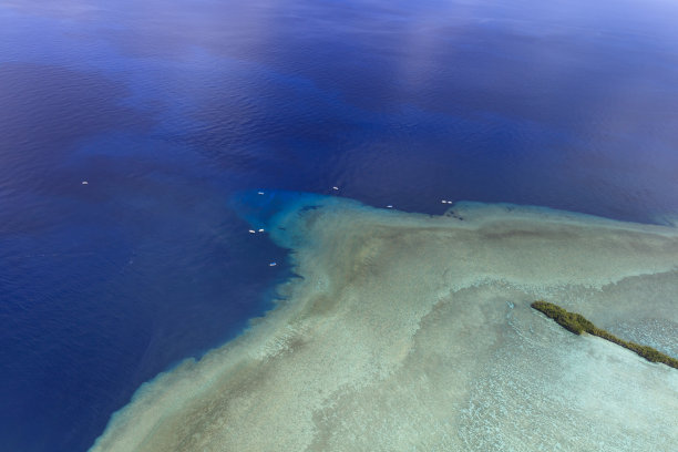 帕劳蓝角和蓝洞-世界遗产-图片下载