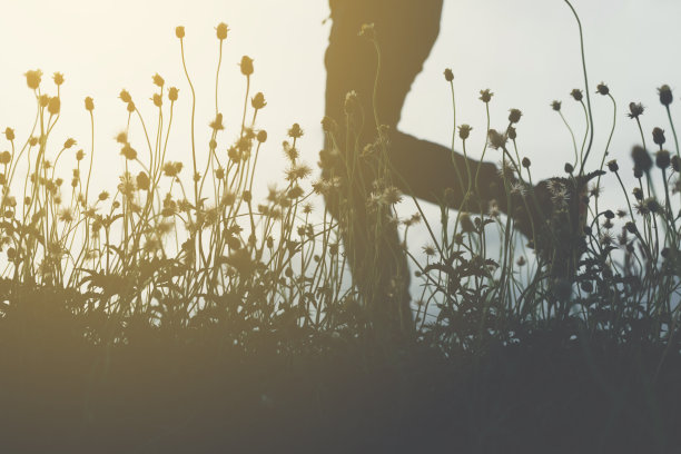 模糊人下班后在公园户外慢跑锻炼，绿色的自然和阳光的背景。图片下载