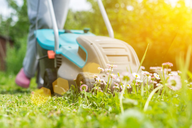 室外修剪草坪的工人图片下载