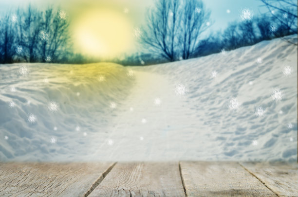 深色木材背景与深色木材背景与冬季森林的观点图片下载