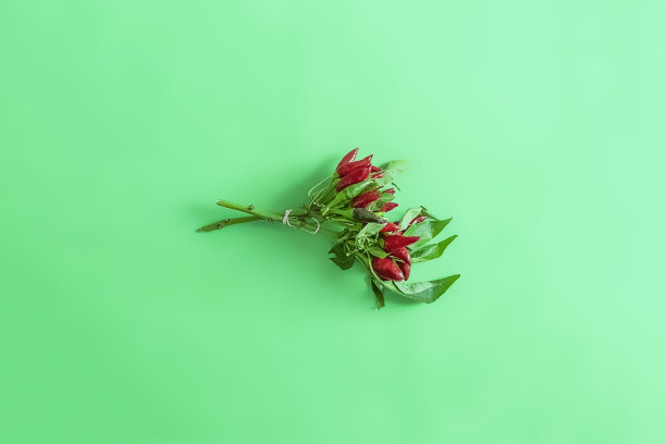 一串红辣椒孤立在绿色背景下简约的生食概念平铺d图片下载