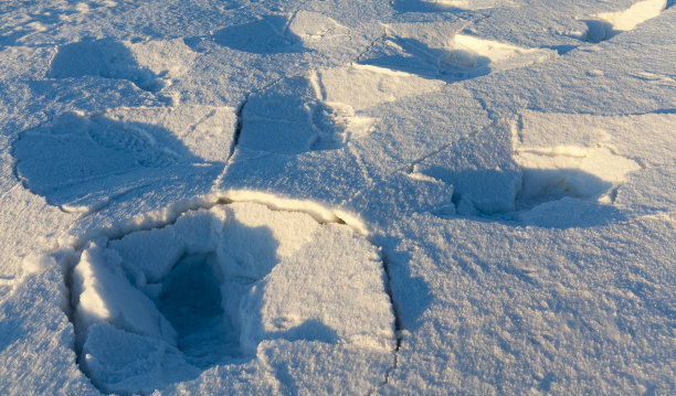 表面的雪图片下载