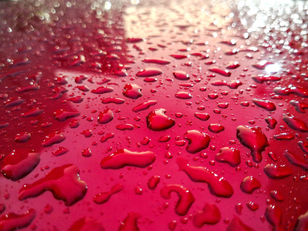红色表面背景上的水滴。图片下载