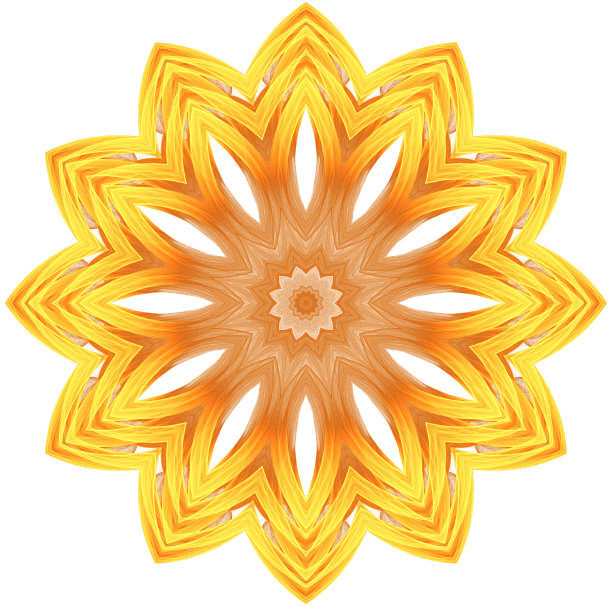 黄色图案孤立在白色背景上图片下载